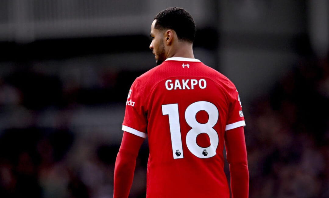 Must step up...Former Ireland midfielder demands Liverpool forward Cody Gakpo